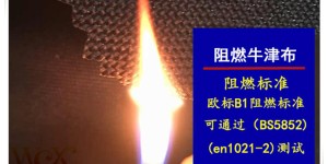 Flame retardant test report textile