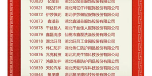 15 companies collectively listed in Wuhan Equity Custody Trading Center, and the “Xiantao Textile and Garment Sector” was launched