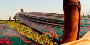 The difference between hyacinth silk and Xiangyun yarn