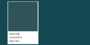 Analysis of key color trends for autumn and winter 2023/24