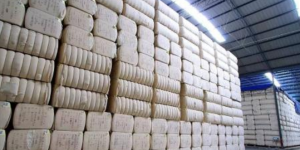 Stock up on cotton!  Opportunity or risk?