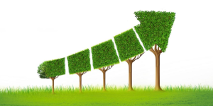 China’s textile industry seeks green development from the source